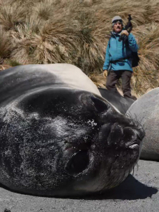 ������ǻ�����ȫ��