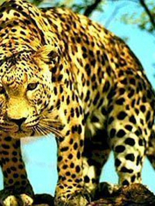 ������������ȫ��