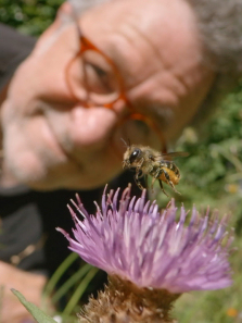 ǧ�仨԰����ȫ��