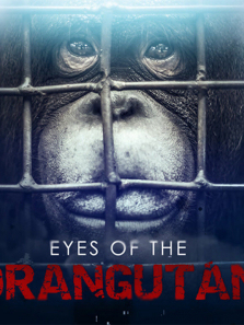 ����֮��Ӣ�İ�����ȫ��