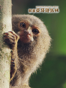 ��������ѷ��������ȫ��