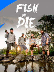 �������������ȫ��