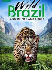 Ұ�Եİ�������ȫ��