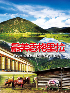 ���������������ȫ��