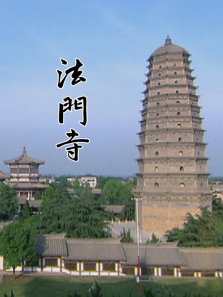 ����������ȫ��