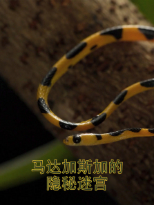 �����˹�ӵ������Թ�����ȫ��