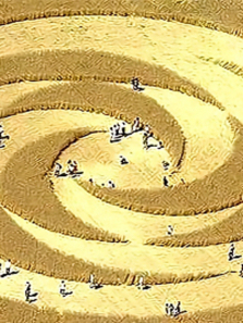 ������������ȫ��