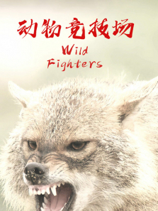 ���ﾺ��������ȫ��