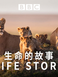 �����Ĺ�������ȫ��