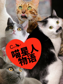 ��������������ȫ��