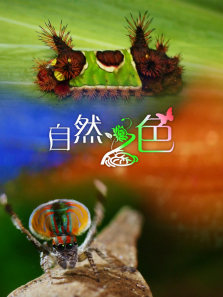 ��Ȼ֮ɫ����ȫ��