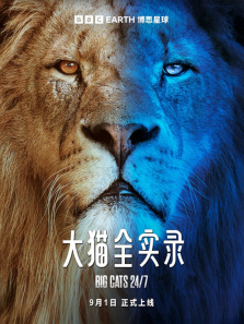 ��èȫʵ¼����ȫ��