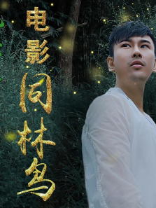 ͬ��������ȫ��