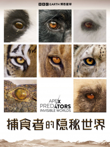 ��ʳ�ߵ�������������ȫ��