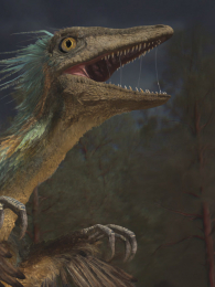 ����˹�ӿ���