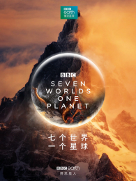 �߸�����һ������