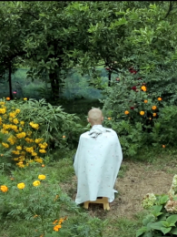 ����һ����