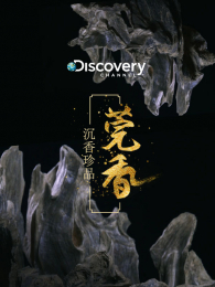 Discovery������Ʒݸ��