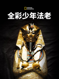 ȫ�����귨��