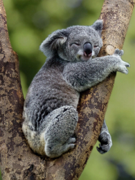 ����֮�ذĴ�����