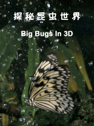 ̽����������