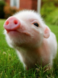 �������������֮��