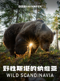 Ұ��˹������ά��