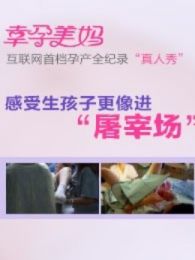 ���������衷��һ��