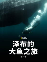 �󲼵Ĵ���֮�õ�1��