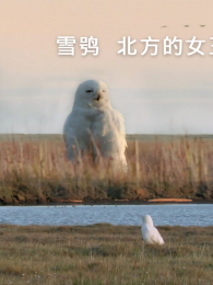 ѩ�^������Ů��