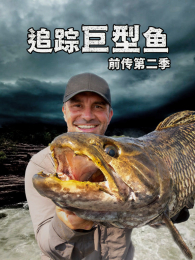 ׷�پ�����ǰ���������2��