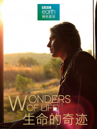 �������漣