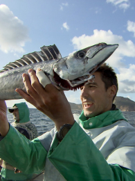 �������5��