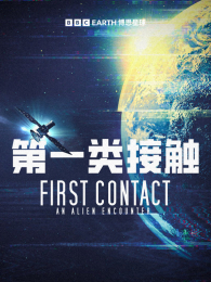 ��һ��Ӵ���������