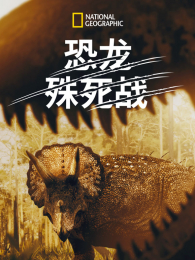 ��������ս