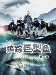 ׷�پ������������1��