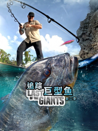 ׷�پ������2��