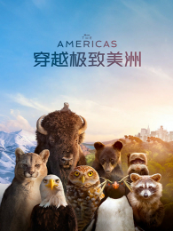 ��Խ�����������İ�