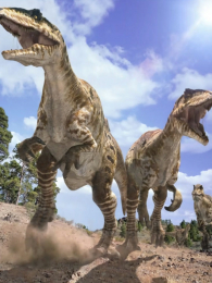 �����ͬ���ؼ���������