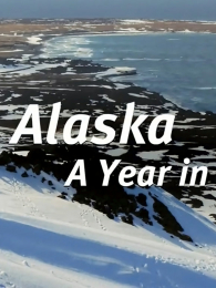 ����˹�ӻ�Ұ����