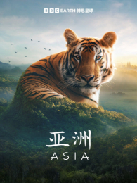 �������İ�