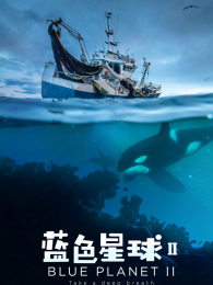 ��ɫ���������ؼ���2��