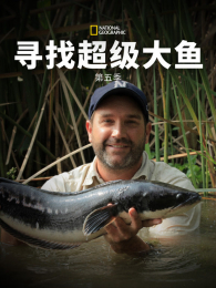 Ѱ�ҳ��������5��