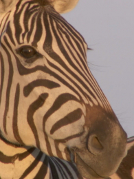 ����һ�����ռ�