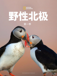 Ұ�Ա�����1��