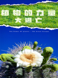 ֲ�������������