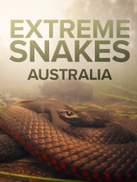 ���������İ�