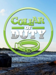 ���������ж�