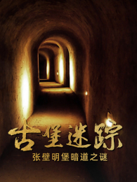 �ű�����