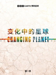 �仯�е������1��